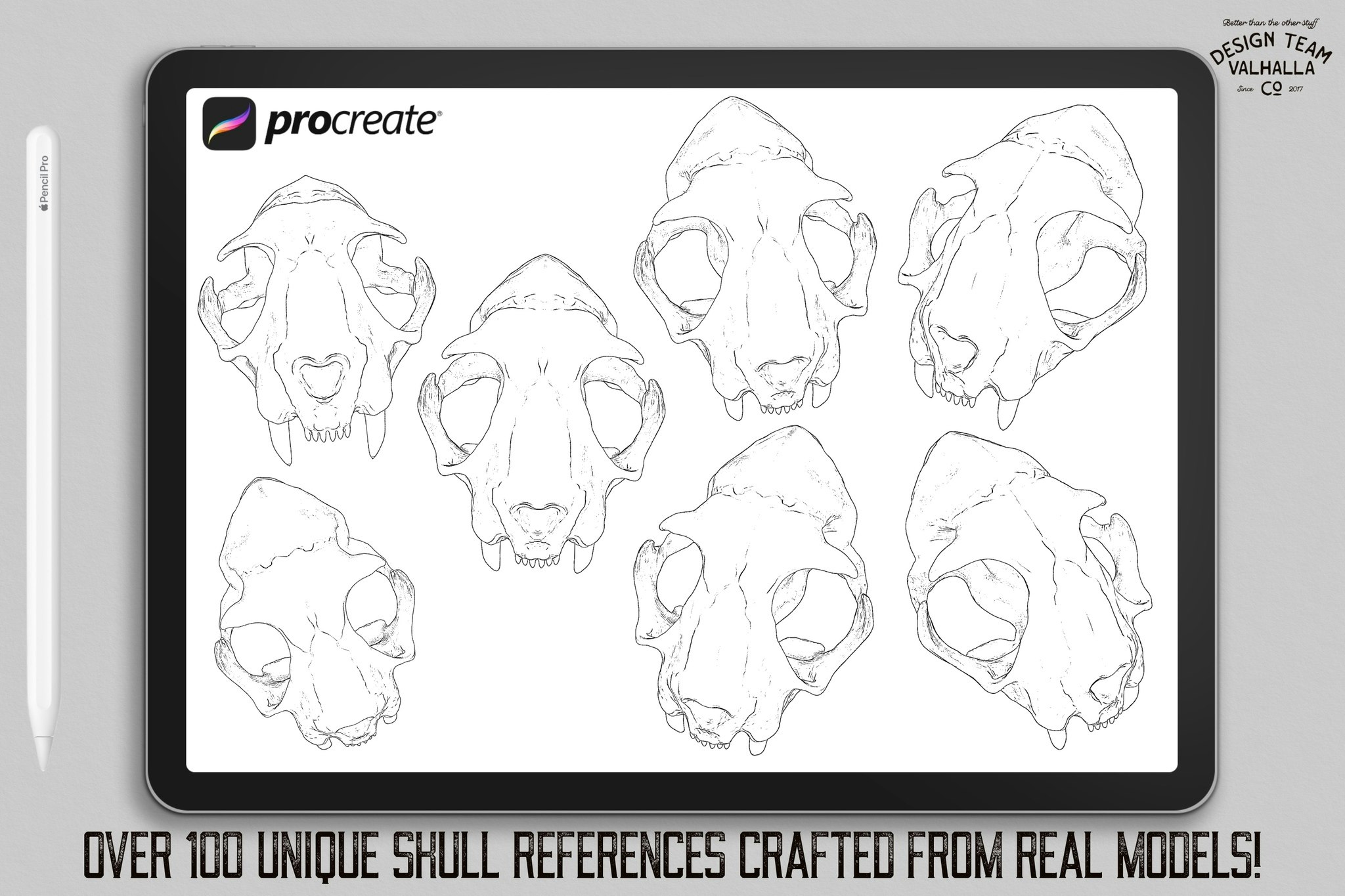 Procreate, Artist Reference Library ~ Animal skull references, original art for Procreate, 100+ design elements, cats, tigers & sabre tooth