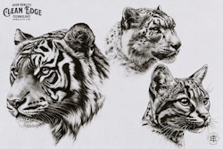 The Animal Kingdom, Procreate stamps, Png & Svg files included, animal reference library, custom art, studio quality