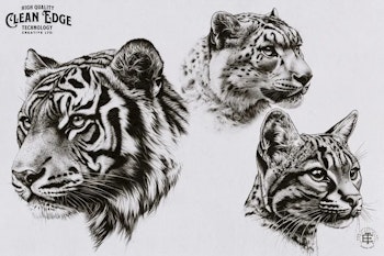 The Animal Kingdom, Procreate stamps, Png & Svg files included, animal reference library, custom art, studio quality