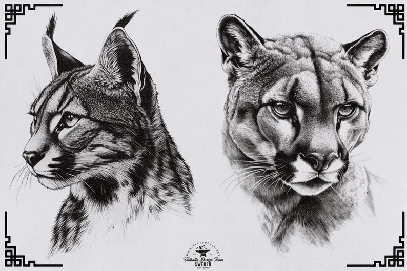 The Animal Kingdom, Procreate stamps, Png & Svg files included, animal reference library, custom art, studio quality