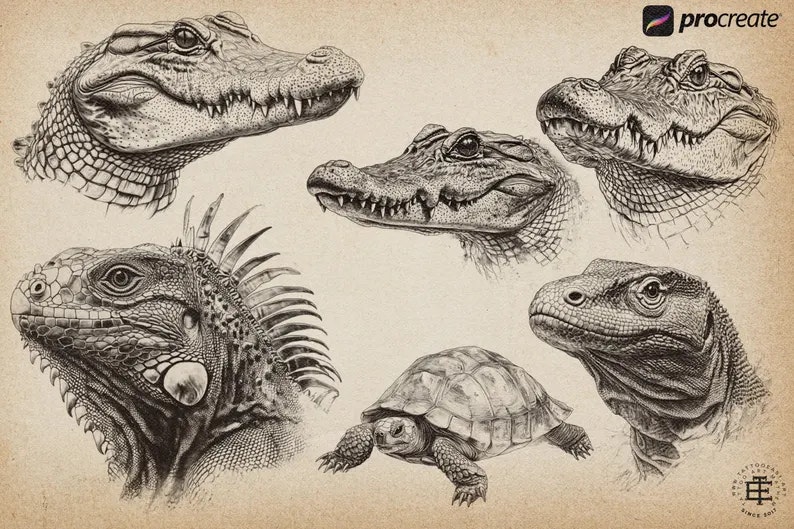 The Animal Kingdom, Procreate stamps, Png & Svg files included, animal reference library, custom art, studio quality