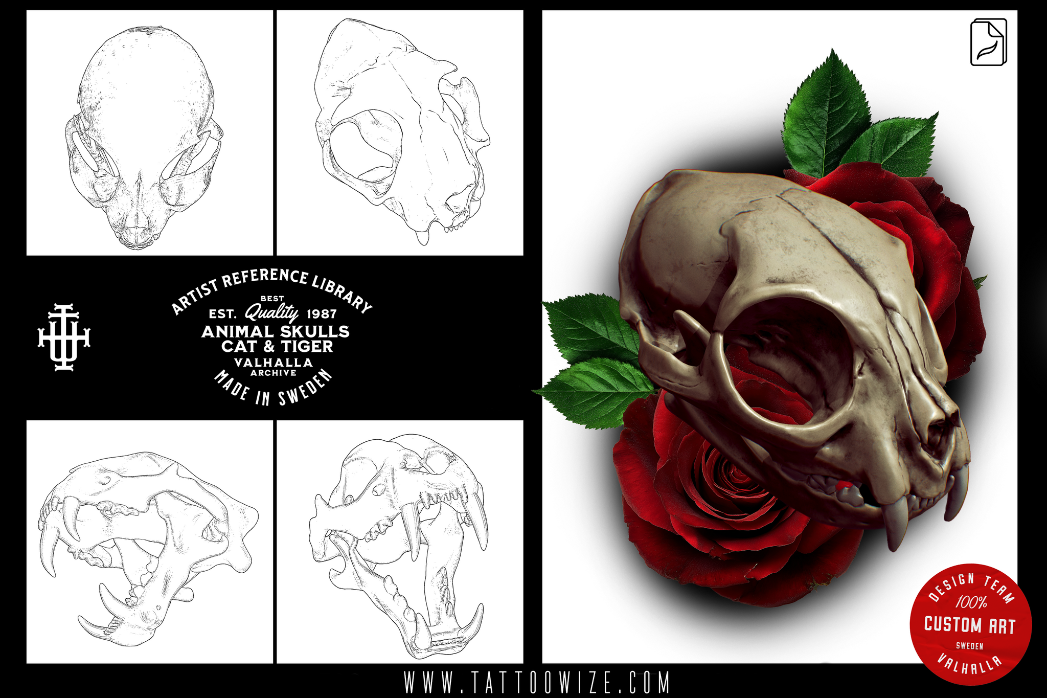 Procreate, Artist Reference Library ~ Animal skull references, original art for Procreate, 100+ design elements, cats, tigers & sabre tooth
