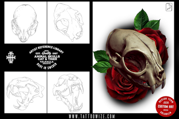 Procreate, Artist Reference Library ~ Animal skull references, original art for Procreate, 100+ design elements, cats, tigers & sabre tooth