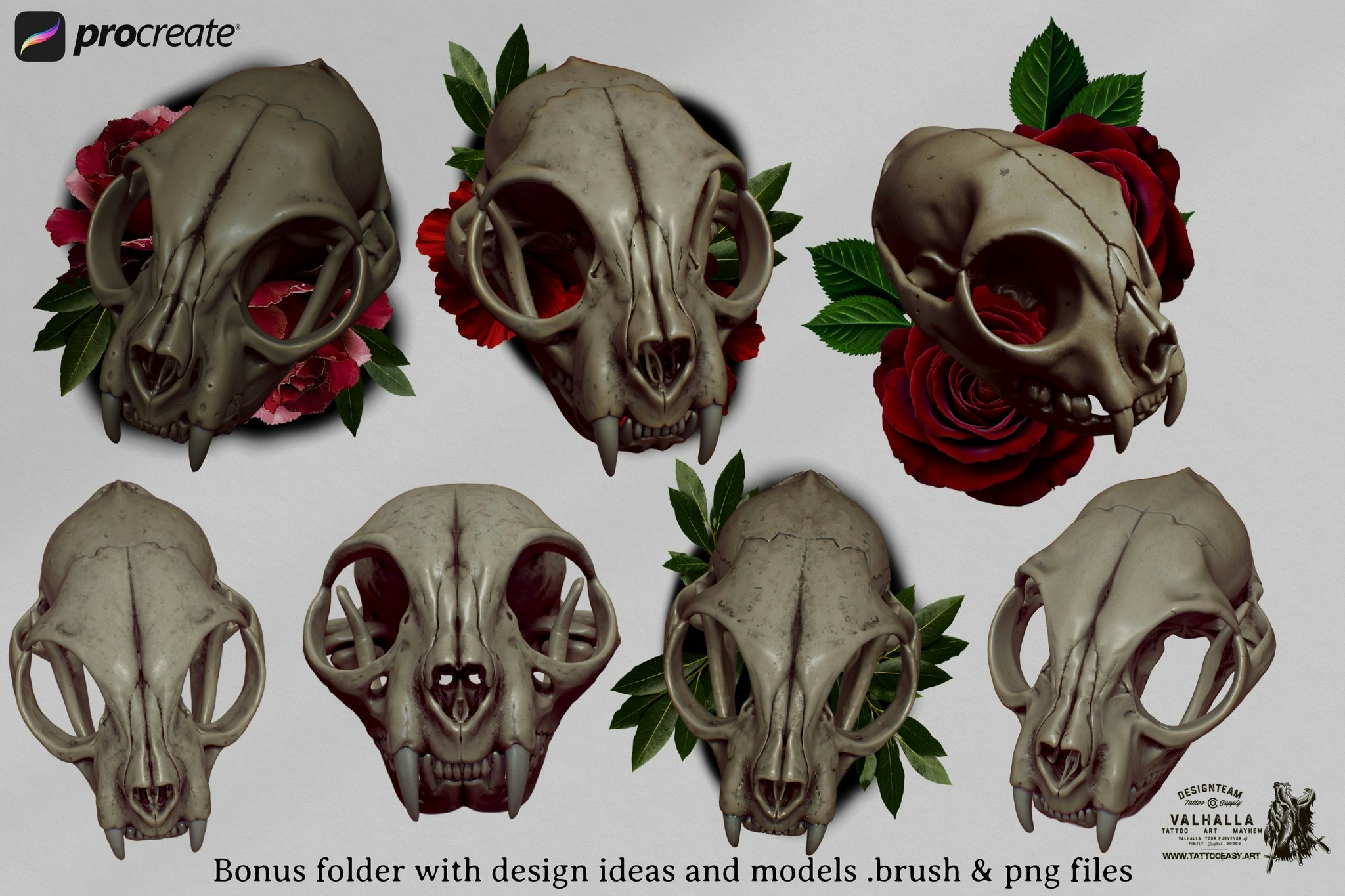 Procreate, Artist Reference Library ~ Animal skull references, original art for Procreate, 100+ design elements, cats, tigers & sabre tooth