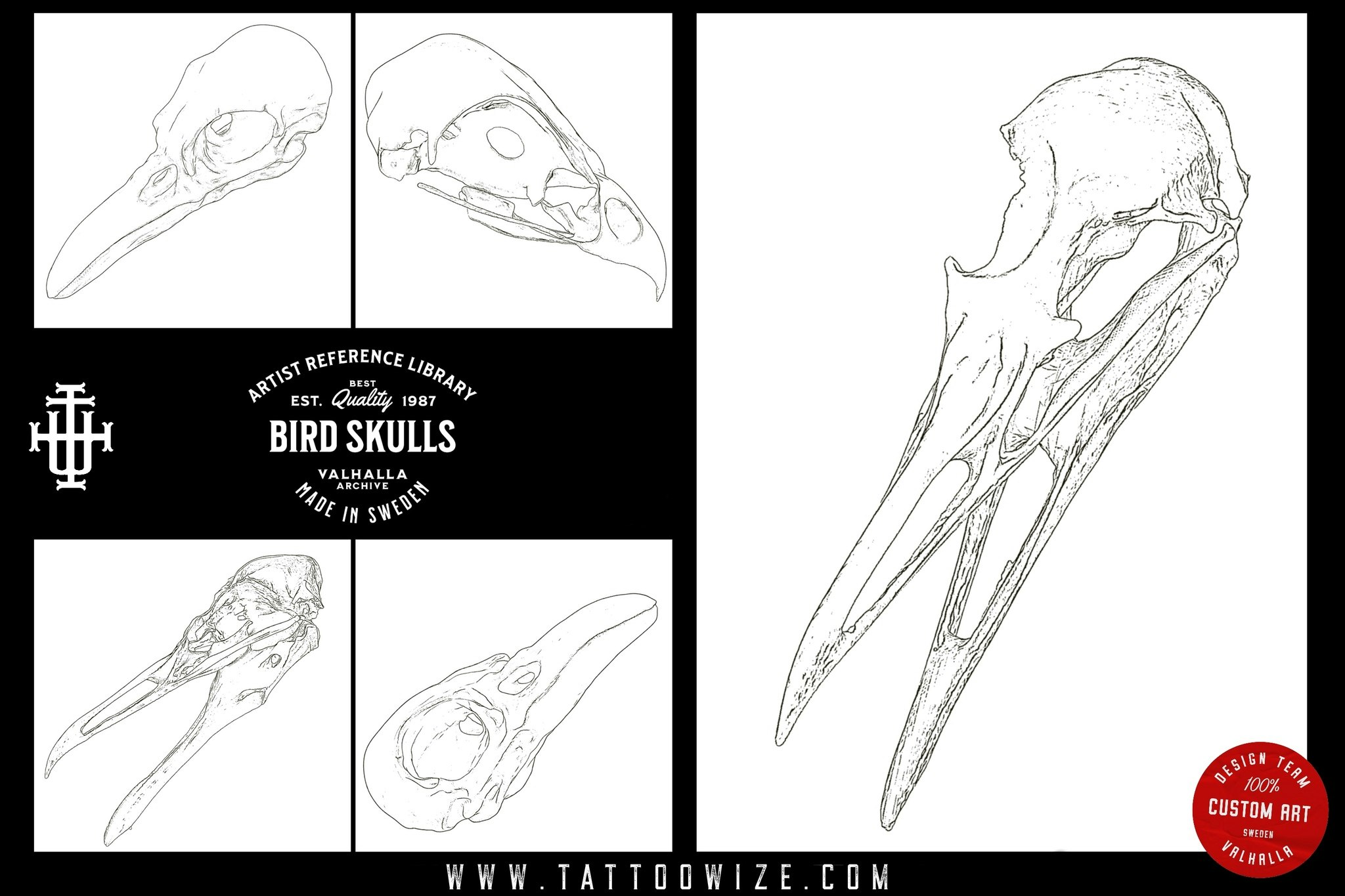 Procreate and .png, Artist Reference Library ~ Bird skull references, original art for Procreate, 100 bird skull designs, tattoo references
