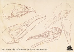 Procreate and .png, Artist Reference Library ~ Bird skull references, original art for Procreate, 100 bird skull designs, tattoo references