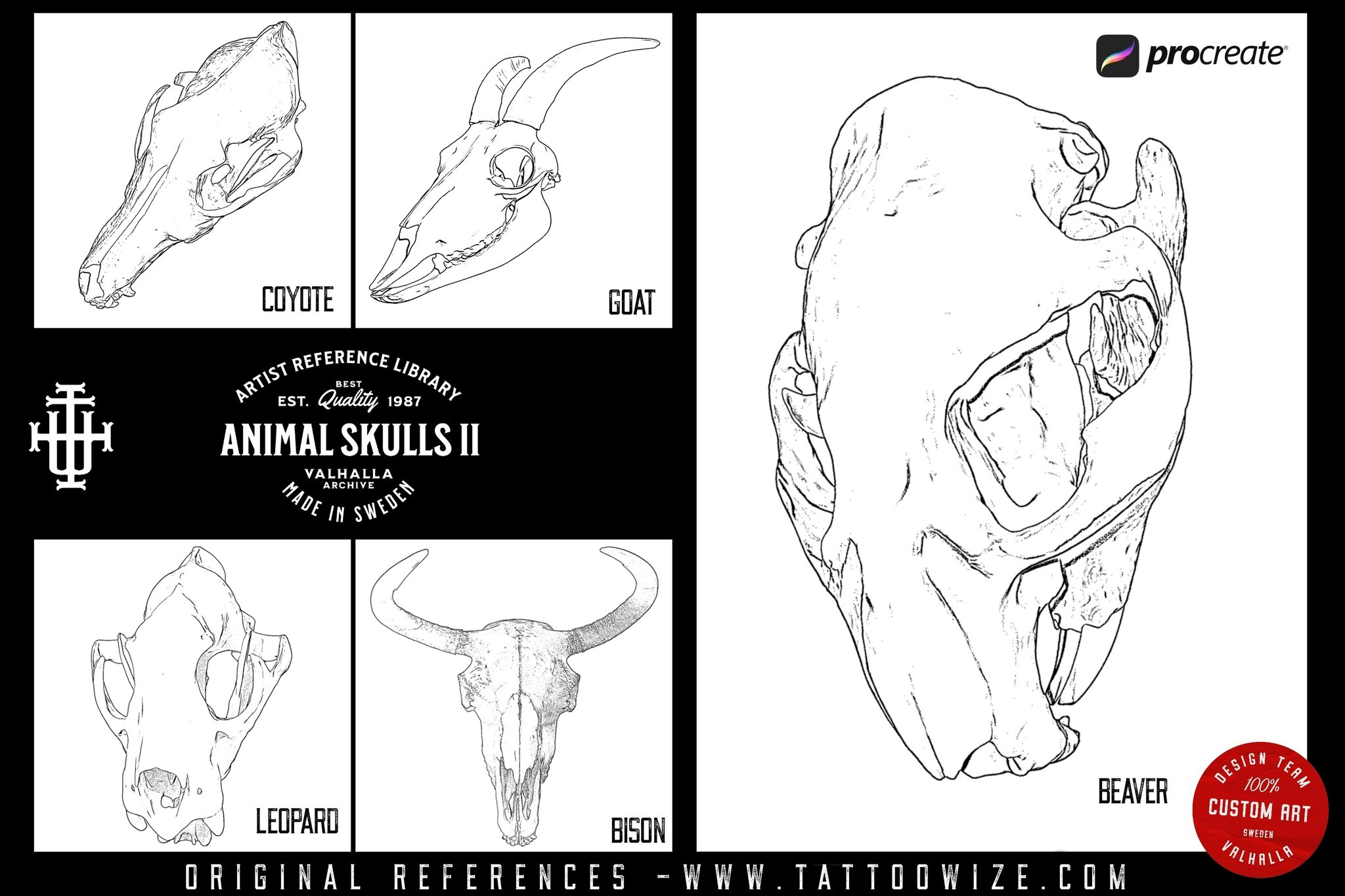 Procreate, Artist Reference Library ~ Animal skull references vol.2, original art for Procreate, artistic references, animal skulls