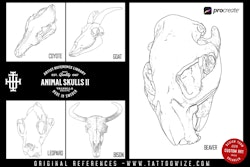 Procreate, Artist Reference Library ~ Animal skull references vol.2, original art for Procreate, artistic references, animal skulls