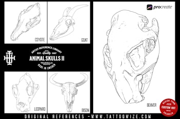 Procreate, Artist Reference Library ~ Animal skull references vol.2, original art for Procreate, artistic references, animal skulls