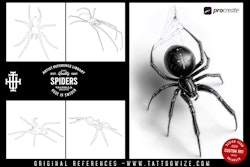 Artist Reference Library ~ Spider references, original art for Procreate, artistic references, 100 spiders png, svg & Procreate