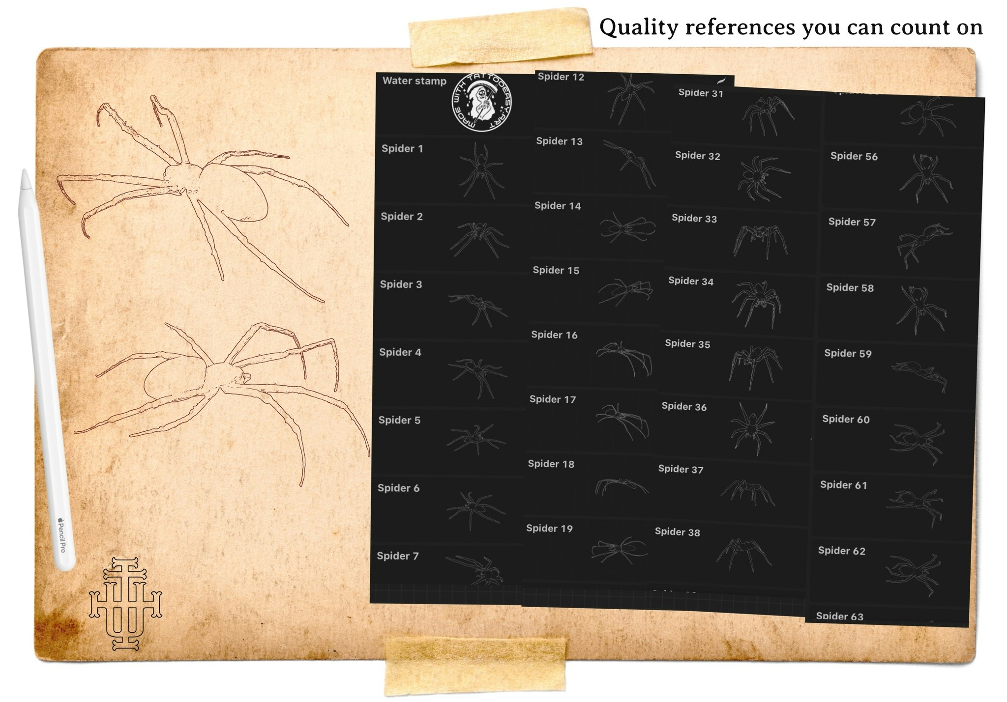 Artist Reference Library ~ Spider references, original art for Procreate, artistic references, 100 spiders png, svg & Procreate