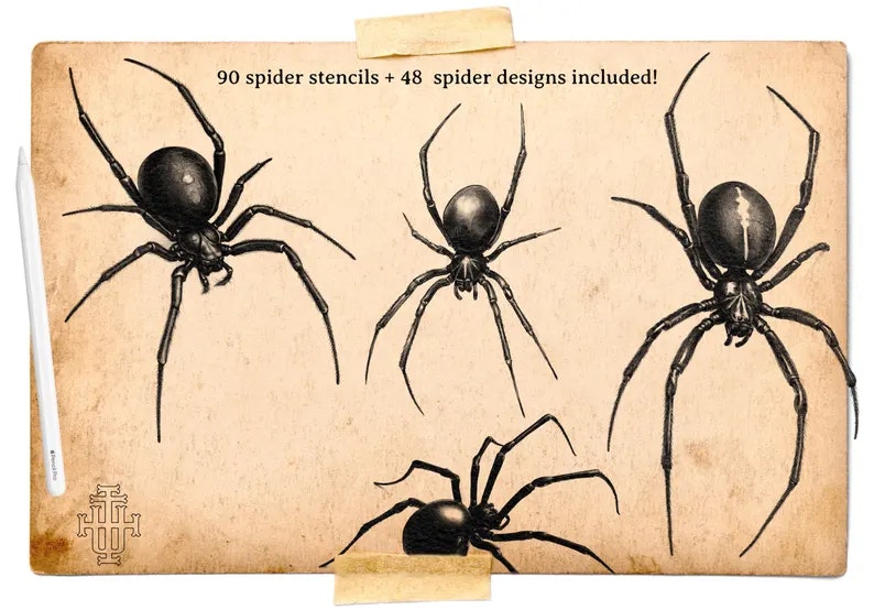 Artist Reference Library ~ Spider references, original art for Procreate, artistic references, 100 spiders png, svg & Procreate