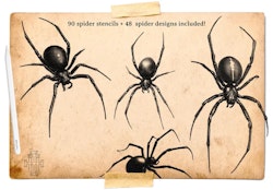 Artist Reference Library ~ Spider references, original art for Procreate, artistic references, 100 spiders png, svg & Procreate