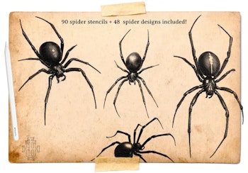 Artist Reference Library ~ Spider references, original art for Procreate, artistic references, 100 spiders png, svg & Procreate