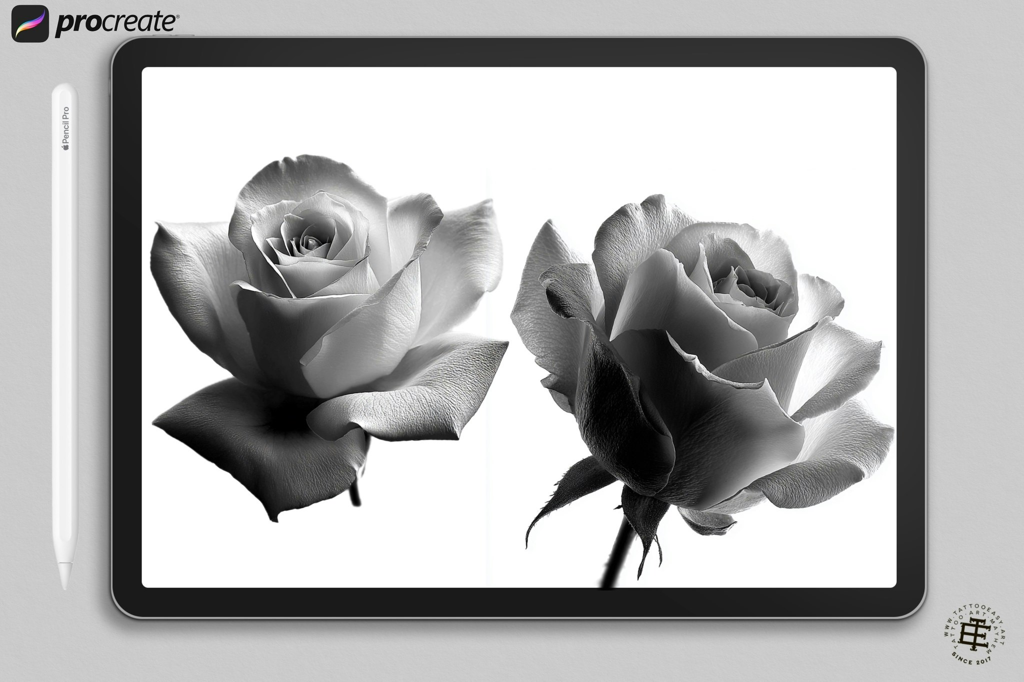 Rose realism, transparent Png clipart files & Procreate version included, high quality custom assets, Rose reference library for artists