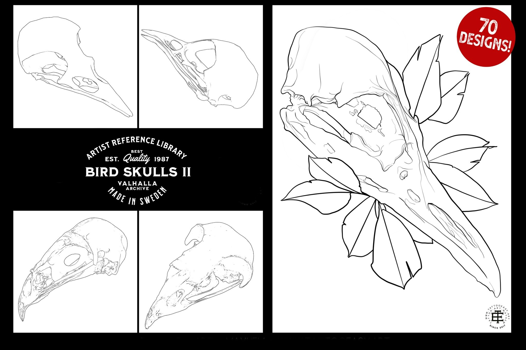 Procreate & png files - Bird Skulls Vol.2, 70 stamps / png designs, bird skull realism, skull reference folder, custom art