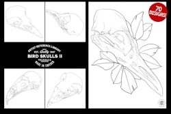 Procreate & png files - Bird Skulls Vol.2, 70 stamps / png designs, bird skull realism, skull reference folder, custom art