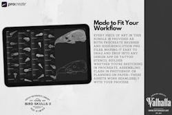 Procreate & png files - Bird Skulls Vol.2, 70 stamps / png designs, bird skull realism, skull reference folder, custom art