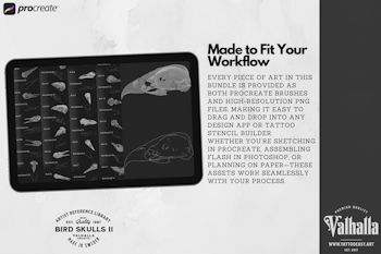 Procreate & png files - Bird Skulls Vol.2, 70 stamps / png designs, bird skull realism, skull reference folder, custom art