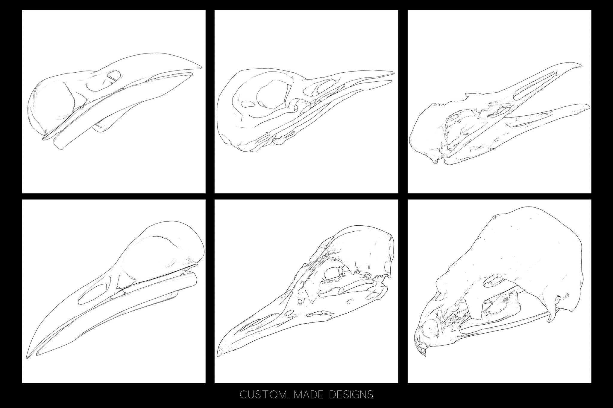 Procreate & png files - Bird Skulls Vol.2, 70 stamps / png designs, bird skull realism, skull reference folder, custom art