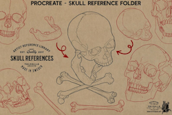 Skull stencil/reference bundle, 135 outlined skulls, tattoo stencils, skull references, procreate stamps, svg skulls, png skull references
