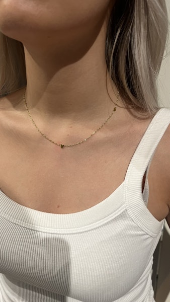 Sarah halsband