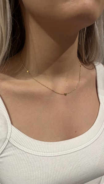 Sarah halsband