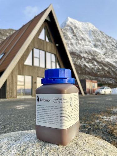 kelpAGRI-Asco 500ml