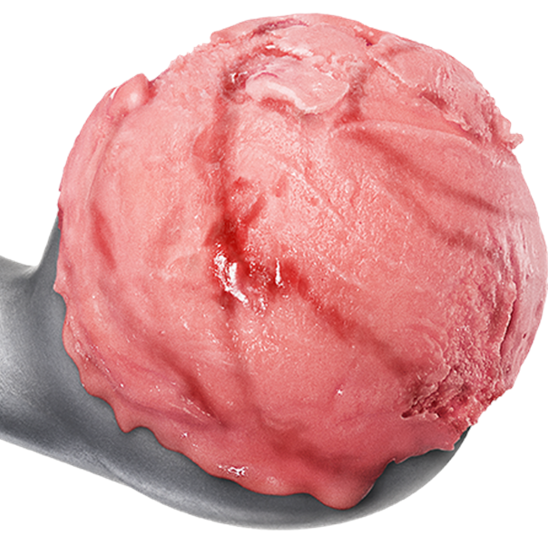 Hallon- SORBET 5 Liter