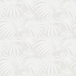 Paula 38768
