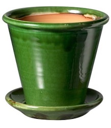 Kruka Grön
