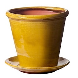 Kruka Gul