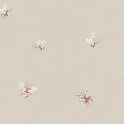 Butterflies 10447