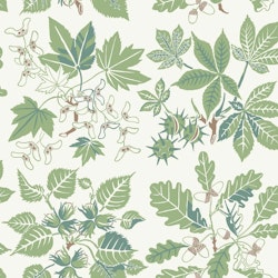 Arboretum 5832