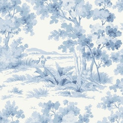 Countryside Morning 6142