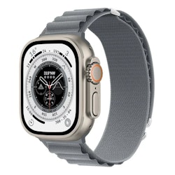 Alpine Loop Strap Grå