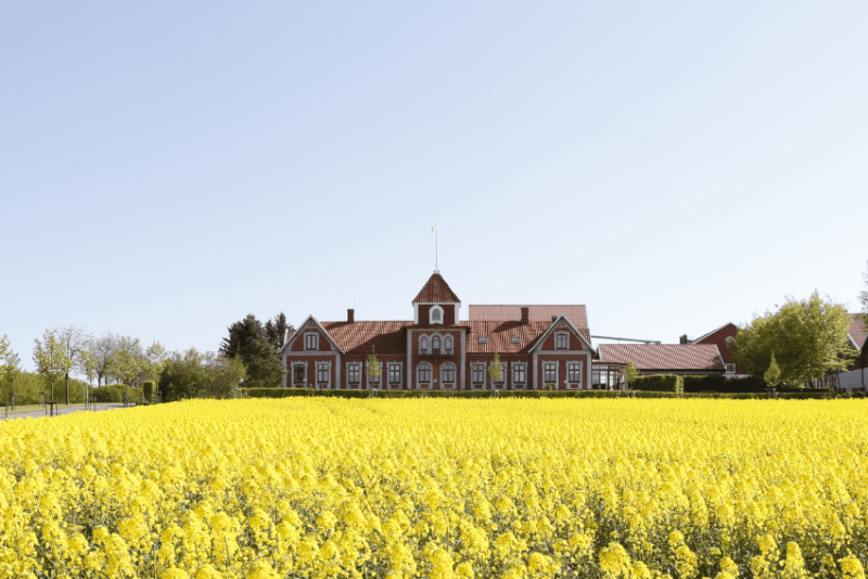 Från svensk ekologisk rapsolja till vårdande tvål