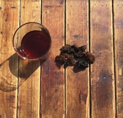 Chaga svamp - Sprängticka för Chaga te
