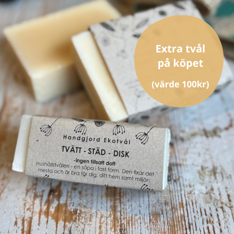 KAMPANJ - Tvätt-Städ-Disk, 2st 160g utan tillsatt doft (få 80g på köpet)