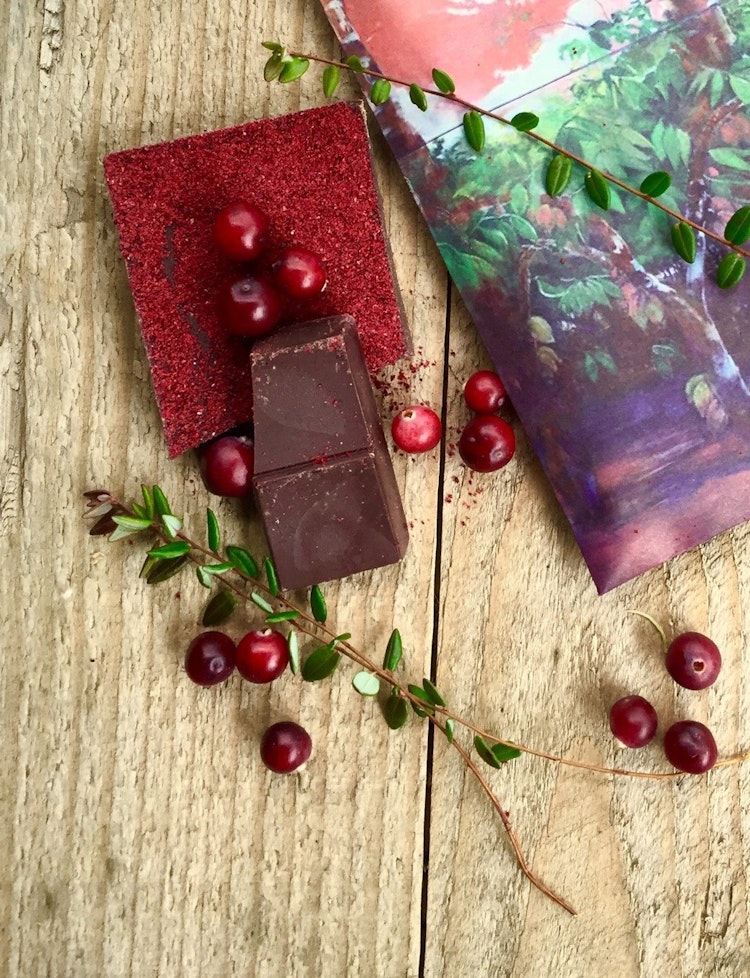 Nordic Chocolate - 65% med Tranbär