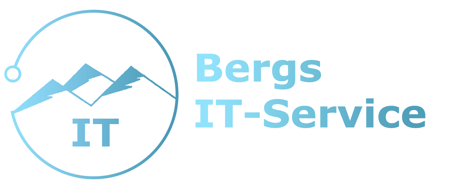 Bergs IT-Service