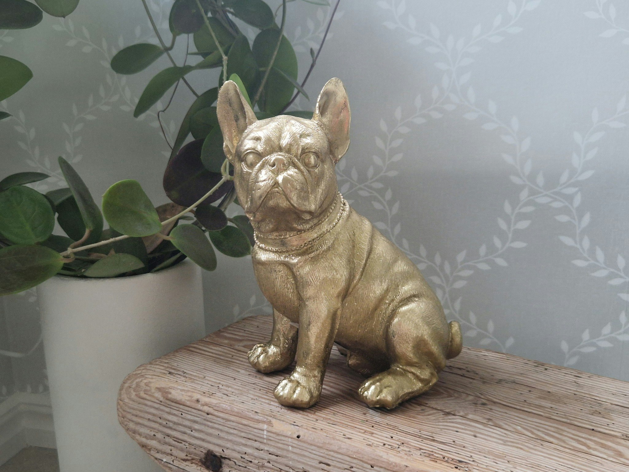 Bulldog - Mitt & Ditt