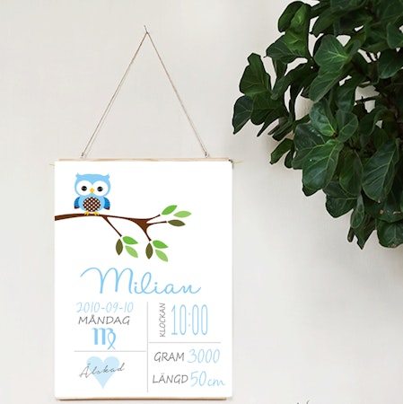 Födelseposter Blå prickugglan