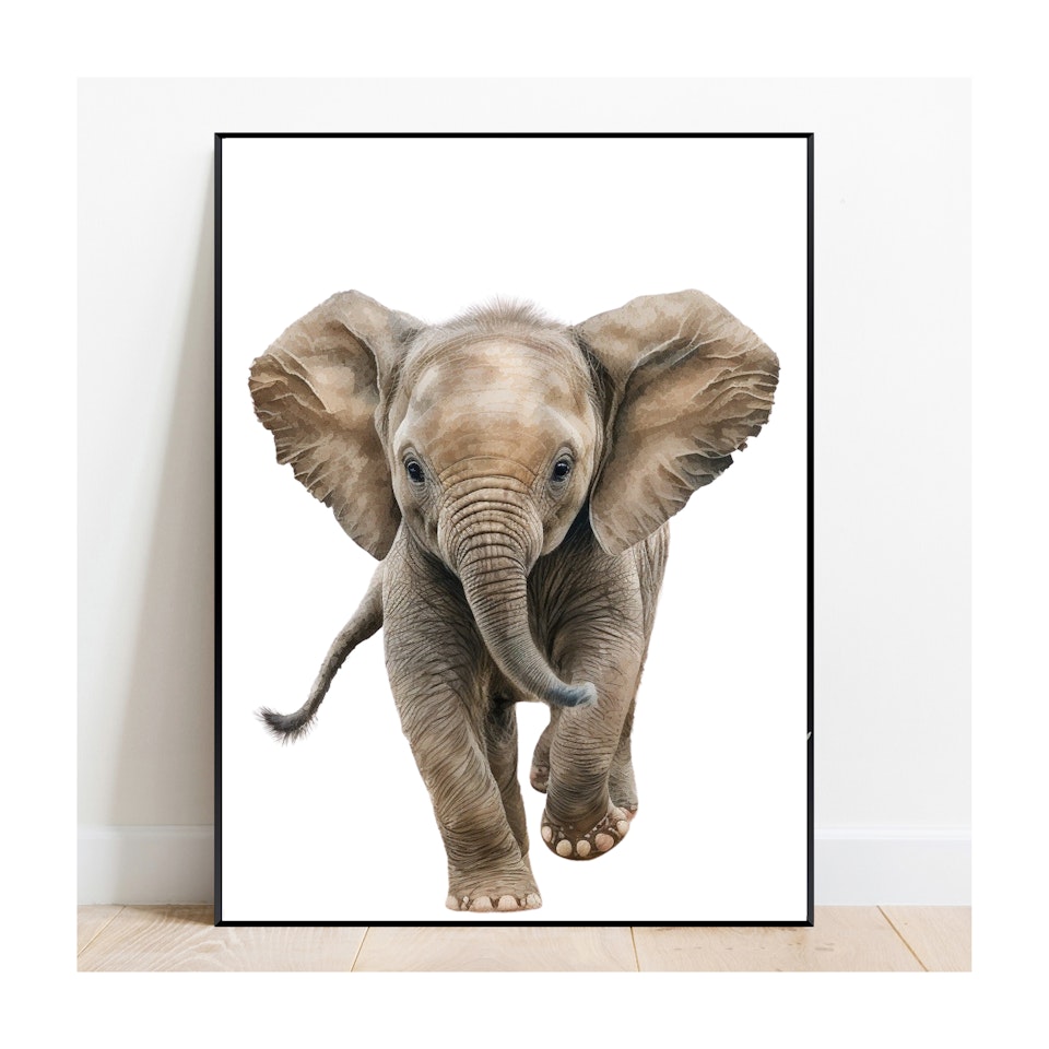 Poster Elefantunge