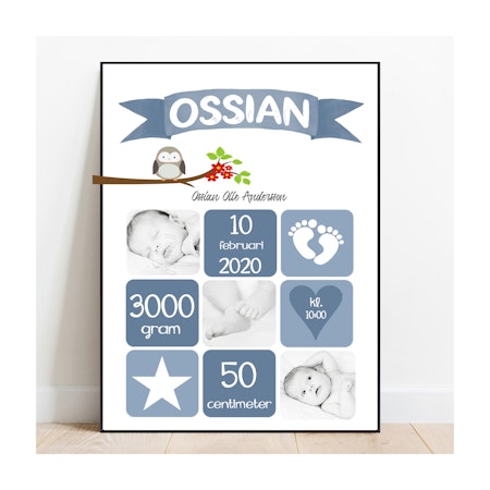Födelseposter, doptavla, namntavla Rut blå med foton och uggla