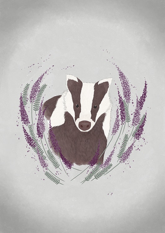 Badger