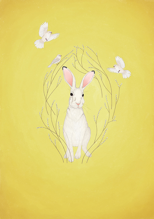 White hare - yellow