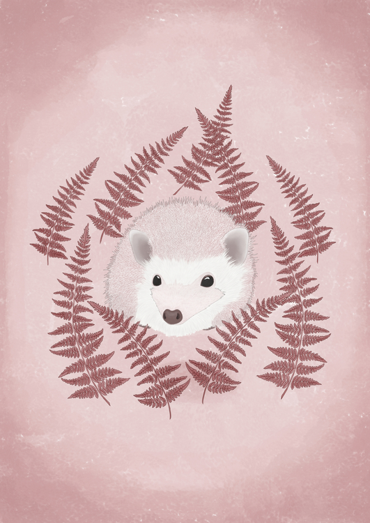 Hedgehog Pinkish