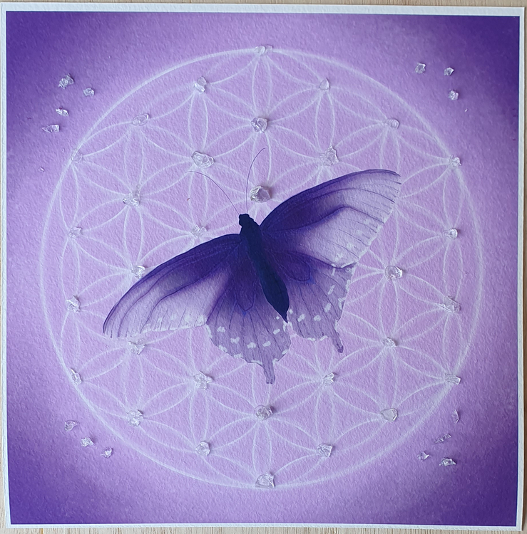 Livets fjäril lila med Ametist och Bergskristall