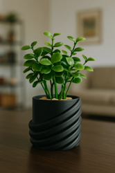 Kruka Spiral